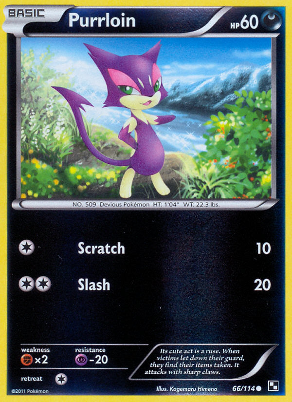 Black & White Purrloin #66/114 reverse holo