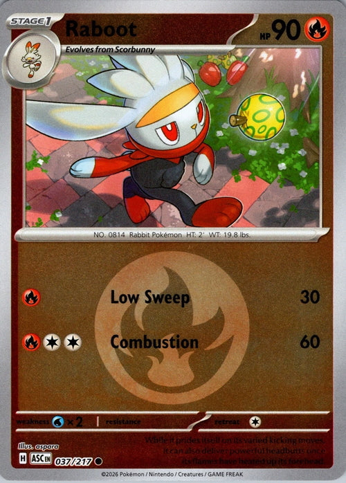 Ascended Heroes Raboot #037/217 Reverse Holo