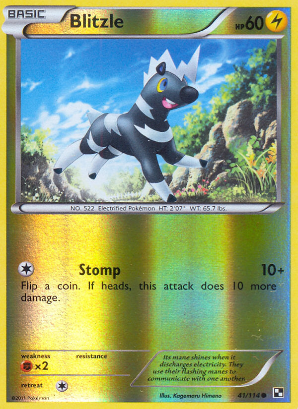 Black & White Blitzle #41/114 reverse holo