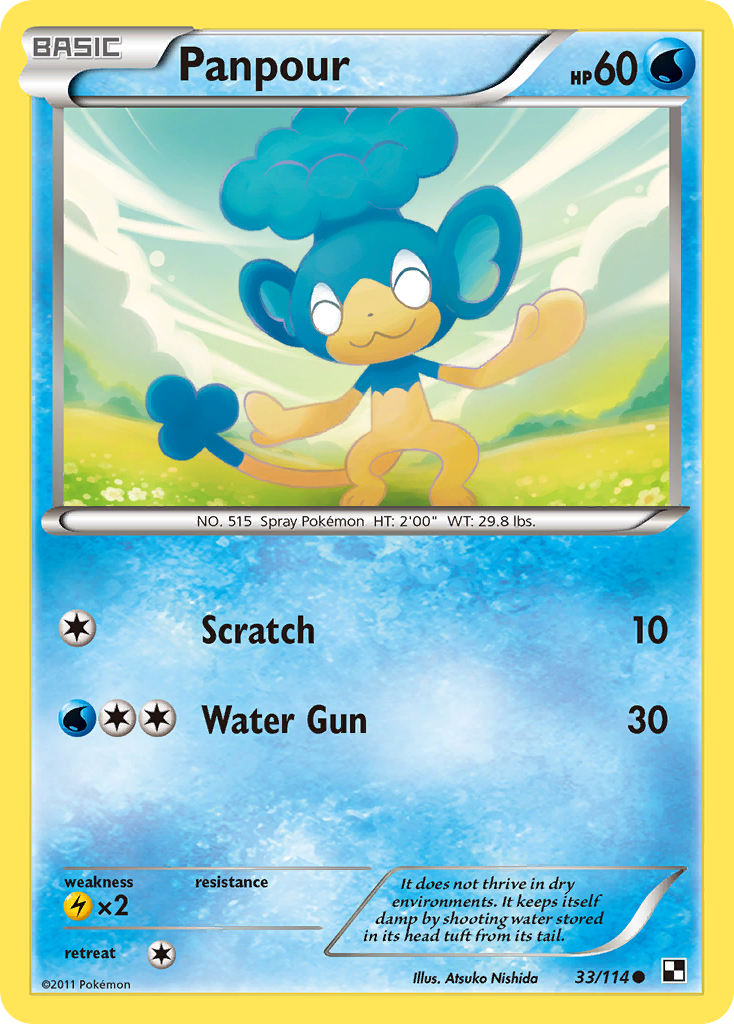 Black & White Panpour #33/114