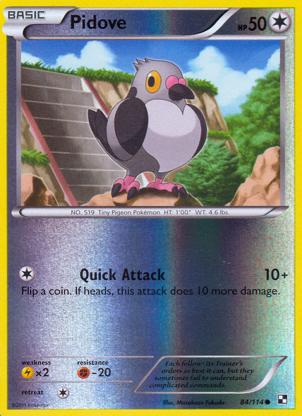 Black & White Pidove #84/114 reverse holo